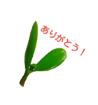 ぷにぷにはっぱスタンプ（個別スタンプ：3）