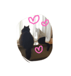 ミーちゃんとレオ（個別スタンプ：1）