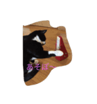 ミーちゃんとレオ（個別スタンプ：2）