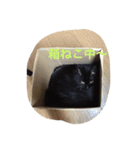 ミーちゃんとレオ（個別スタンプ：4）