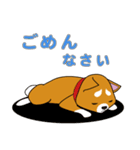 柴犬けんじくん3（個別スタンプ：5）