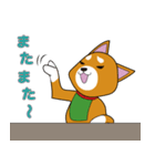 柴犬けんじくん3（個別スタンプ：8）