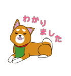 柴犬けんじくん3（個別スタンプ：9）