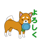 柴犬けんじくん3（個別スタンプ：11）