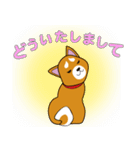 柴犬けんじくん3（個別スタンプ：19）