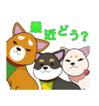 柴犬けんじくん3（個別スタンプ：20）