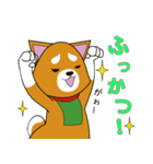 柴犬けんじくん3（個別スタンプ：23）