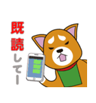 柴犬けんじくん3（個別スタンプ：24）