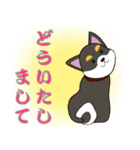 黒柴よしひこ（個別スタンプ：19）