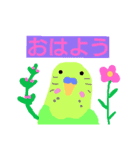 インコと猫（個別スタンプ：2）