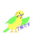 インコと猫（個別スタンプ：3）