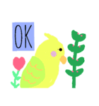 インコと猫（個別スタンプ：15）