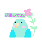 インコと猫（個別スタンプ：16）