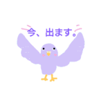 インコと猫（個別スタンプ：19）