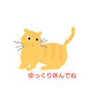 インコと猫（個別スタンプ：24）