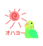 インコと猫（個別スタンプ：28）