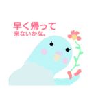 インコと猫（個別スタンプ：30）
