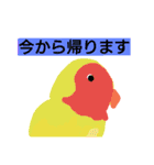 インコと猫（個別スタンプ：32）