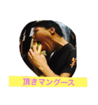 ちーむひとみしりスタンプ（個別スタンプ：4）