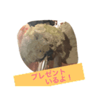 ちーむひとみしりスタンプ（個別スタンプ：21）