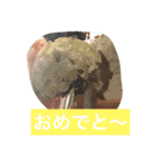 ちーむひとみしりスタンプ（個別スタンプ：22）