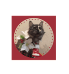 ショコラ 可愛い猫 ネコ クリスマス（個別スタンプ：4）