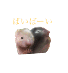 ハムエッグ（個別スタンプ：4）