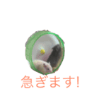 ハムエッグ（個別スタンプ：5）