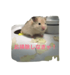 ハムエッグ（個別スタンプ：7）