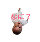 うちのはっくん（個別スタンプ：7）