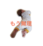 うちのはっくん（個別スタンプ：8）