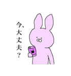 真顔なウサギ（個別スタンプ：1）