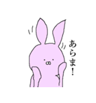 真顔なウサギ（個別スタンプ：3）