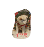 小太郎 Ver.3（個別スタンプ：4）