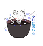 白玉猫ぜんざい（個別スタンプ：5）