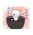 白玉猫ぜんざい（個別スタンプ：9）