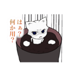 白玉猫ぜんざい（個別スタンプ：11）