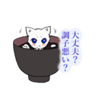 白玉猫ぜんざい（個別スタンプ：13）
