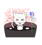 白玉猫ぜんざい（個別スタンプ：14）