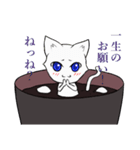 白玉猫ぜんざい（個別スタンプ：15）