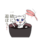 白玉猫ぜんざい（個別スタンプ：17）