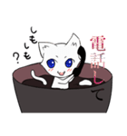 白玉猫ぜんざい（個別スタンプ：22）