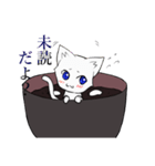 白玉猫ぜんざい（個別スタンプ：24）