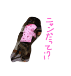 錆び猫スタンプ（個別スタンプ：7）