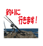 沖の島の釣り（個別スタンプ：1）
