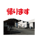 沖の島の釣り（個別スタンプ：3）