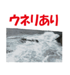 沖の島の釣り（個別スタンプ：12）