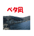 沖の島の釣り（個別スタンプ：13）