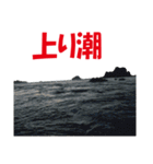 沖の島の釣り（個別スタンプ：14）
