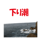 沖の島の釣り（個別スタンプ：15）